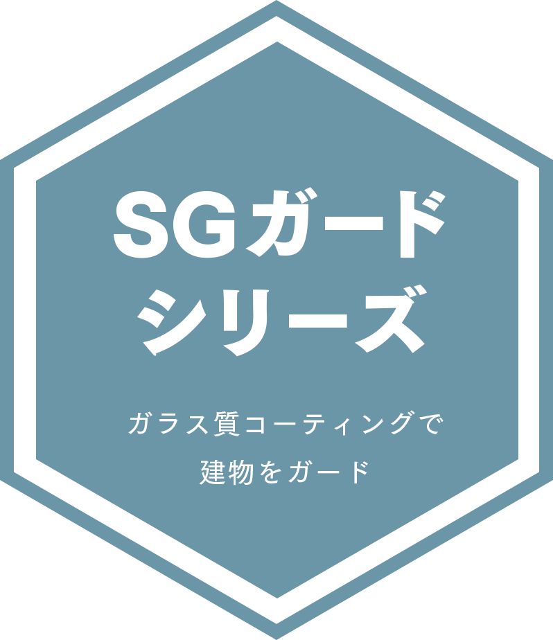 S.Gガード